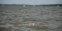 На Ставрополье ещё один водоём прошел санитарные нормы и разрешен для купания - Комсомольская Правда