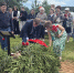 У мемориала «Журавль» в деревне Мины перезахоронили останки советских воинов - Online47.Ru