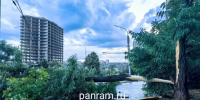 Дерево рухнуло и оборвало высоковольтные провода в центре Ростова из-за мощного шторма - Панорама