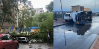 В Ростове сегодня была не погода, а стихийное бедствие: деревья валит, машины переворачивает, поезда останавливаются - Bloknot-Rostov.Ru
