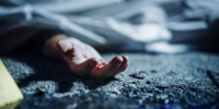 Появились детали в деле Фёдора Мехнина, обвиняемого в убийстве 12-летней девочки - РТВ-Подмосковье
