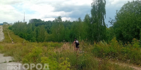 Минлесхоз обновил карту лесов в Нижегородской области, которые пока нельзя посещать - ProGorodNN.Ru