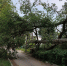 5bwmdspqyiqt2g6dd97x1k15wx94a9by - Novosti-Saratova.Ru