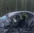 Пьяный водитель выехал на встречку - погибла женщина - SyasNews.Ru