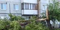 Изображение со страницы Вконтакте Елена Гопина - Пульс Хакасии