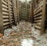 Фото: John Gomez/Shutterstock/Fotodom - Ямал-Медиа