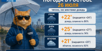 Погода в Ростове-на-Дону 26 июля: жара сменится дождем - Bloknot-Rostov.Ru