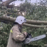 Прошедший по Барнаулу ураган повредил 20 авто и оставил девять домов без газа - Сетевое издание Толк