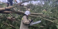 Прошедший по Барнаулу ураган повредил 20 авто и оставил девять домов без газа - Сетевое издание Толк