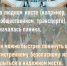 Террорист — это не герой - Камская новь