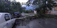 В Шахтах из-за  шторма дерево рухнуло в сантиметре от автомобиля - DonDay-Shakhty.Ru