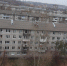 Радиус карантина по бешенству в Красноярске вырос вдвое. Фото: Анна Чалая / 2GIS - Седьмой канал
