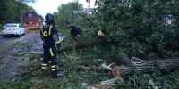 Один человек погиб и 13 пострадали из-за непогоды в Ростове-на-Дону - M24.Ru