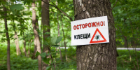 Летом риск столкнуться с клещами действительно выше! - ГУ МЧС России
