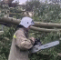 Устранение последствий урагана / barnaul.org - ИА Амител