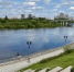 Острая нехватка кислорода вызвала массовую гибель рыбы в Тюменской Туре - NG72.Ru