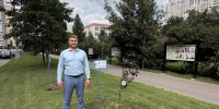 В Рязанском районе высадили сакуры на Аллее Славы в рамках акции «Сад памяти», фото - Мой район