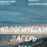 Седьмой экологический лагерь ждет своих участников. - Онежский муниципальный округ