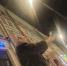 Треш-блогер в Петербурге затоптал голубя ради видео - Spbdnevnik.ru
