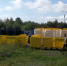 Более 450 контейнеров передал региональный оператор муниципалитетам - Газета Заря Урала