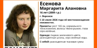 Воронежские волонтёры разыскивают 16-летнюю Маргариту Есенову - VrnTimes.Ru