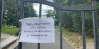 Дождь и сильный ветер. Из-за непогоды мэрия закрывает городские парки - ИА Взгляд-инфо