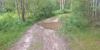 15-летняя девочка на квадроцикле врезалась в дерево в Городецком районе - ProGorodNN.Ru