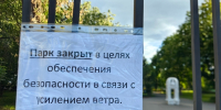 В Саратове из-за сильного ветра закрыли парки - ИА Версия-Саратов