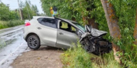 На юге Архангельской области легковушка врезалась в дерево. Три человека пострадали - Tv29.Ru