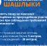 Отдых с огоньком: как пожарить шашлыки и не устроить пожар - МЧС Псковской области