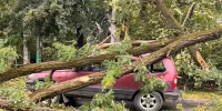 В Ростове ввели режим ЧС после сильного урагана - DonDay.Ru