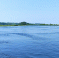 Паводок в Зауралье: в Шадринске уровень воды в Исети достиг 263 см - Shadr.Info