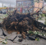 Число пострадавших при мощном шторме в Ростове выросло до 28 - Панорама