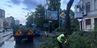 Весь Ростов-на-Дону объявили зоной ЧС после мегашторма - Панорама