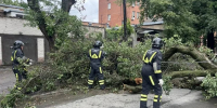 Режим ЧС ввели в Ростове-на-Дону из-за обрушившегося на регион урагана - Вечерняя Москва
