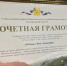 Сотрудница Росгвардии отмечена Почетной грамотой главы администрации Новооскольского округа - Росгвардия
