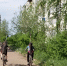 До +34 °C и грозы: синоптики дали прогноз на конец июля в Кирово-Чепецке - Prochepetsk.ru