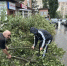 В Азовском районе начали устранять последствия непогоды - Азовский район