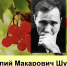 Книжная выставка к 97-летию В.М.Шукшина - Библиотеки Тамбовской области