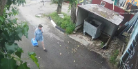 Кошка, подброшенная к воротам нижегородского приюта, сбежала из переноски - Нижегородская правда