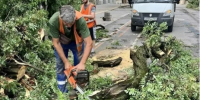 В Таганроге устранены основные последствия непогоды, но штормовое предупреждение еще действует - Газета Таганрогская правда