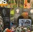 1AEF7CC1-D084-4C7A-8099-D6E07CFF5B91 - Peterburg-News.Ru