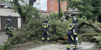 1237878.JPG - Администрация г. Ростов-на-Дону