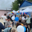 ДЕНЬ ГОРОДА КАШИРА: ТИК — ВМЕСТЕ С ЖИТЕЛЯМИ! - Вестник Избирательной комиссии