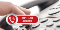 - В Чебоксарах продолжает работу горячая линия по вопросам зачисления в 10-е классы:  горячая линия - Газета Грани