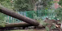 В Ростове после сильного урагана повреждены территории 14 детсадов и 16 школ - DonDay.Ru
