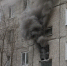 Человек со своим питомцем погибли в пожаре в Мурманске - Телекомпания ТВ-21