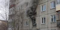 Человек со своим питомцем погибли в пожаре в Мурманске - Телекомпания ТВ-21