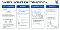 Более 280 жителей Севастополя сдали кровь за последнюю неделю - Комсомольская Правда