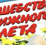 Книжная выставка “Волшебство книжного лета” - Библиотеки Тамбовской области
